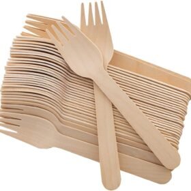 WOODEN FORK (100 NOS)